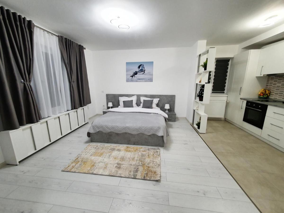 Fresh Mountain Apartment Brașov