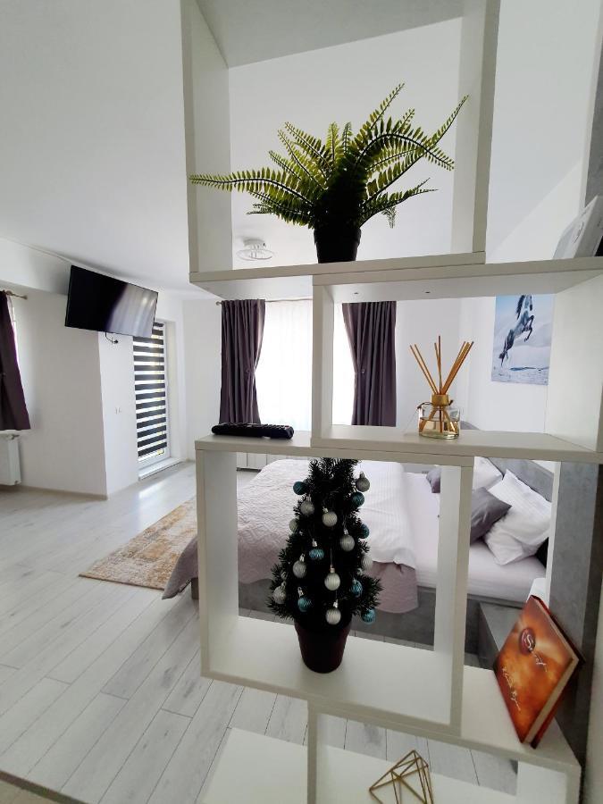 Fresh Mountain Apartment Brașov
